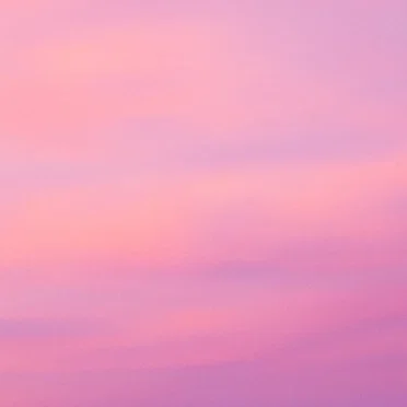 Neural Silhouette