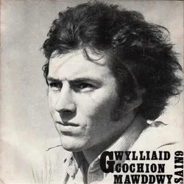 Gwylliaid Cochion Mawddwy