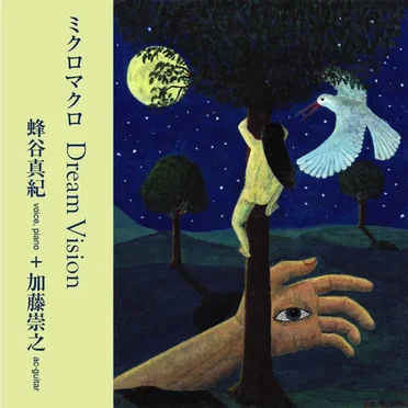 Dream Vision by micro-macro - album cover