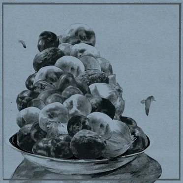 Painted Shut by Hop Along - album cover