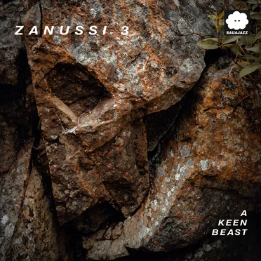 A Keen Beast by Zanussi 3 - album cover