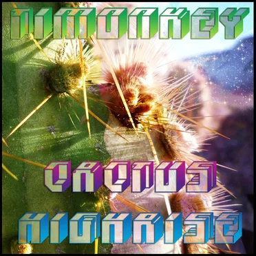 Cactus Highrise by Timonkey - album cover