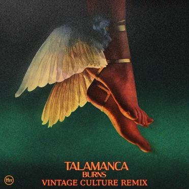 Talamanca (Vintage Culture remix)