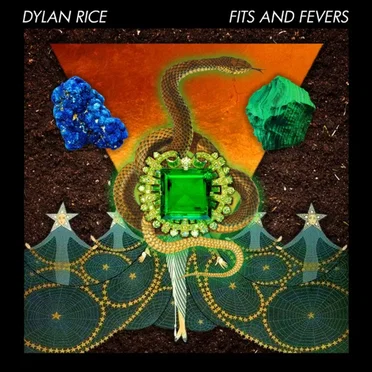 Fits and Fevers by Dylan Rice - album cover