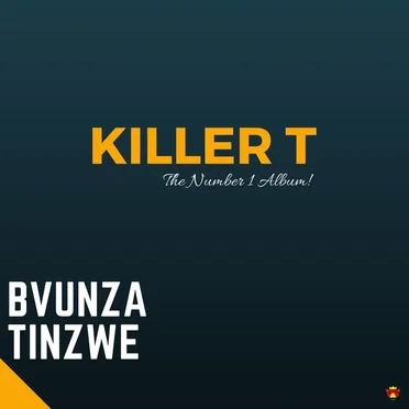 Bvunza Tinzwe by Killer T - album cover