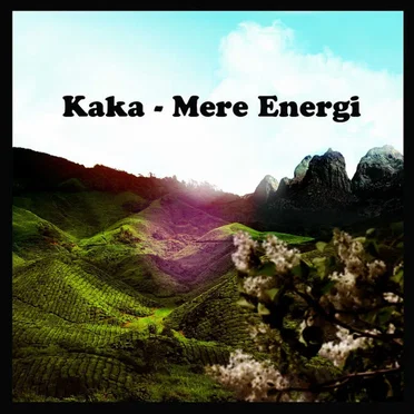 Mere energi