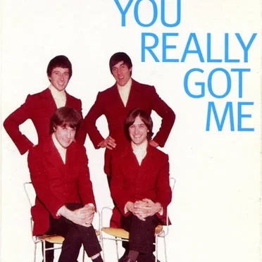 You Really Got Me