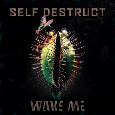 Self Destruct