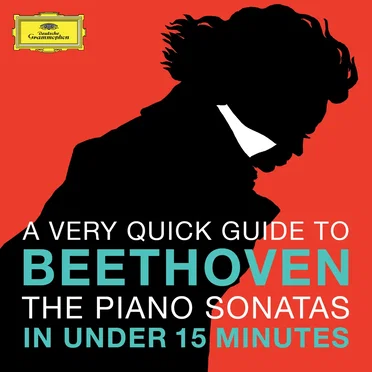 The Piano Sonatas in under 15 minutes