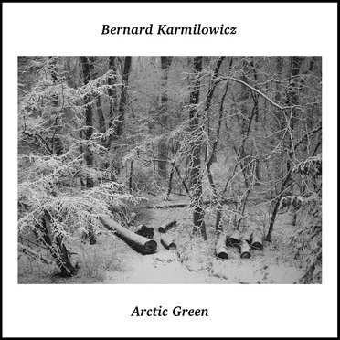 Arctic Green by Bernard Karmilowicz - album cover