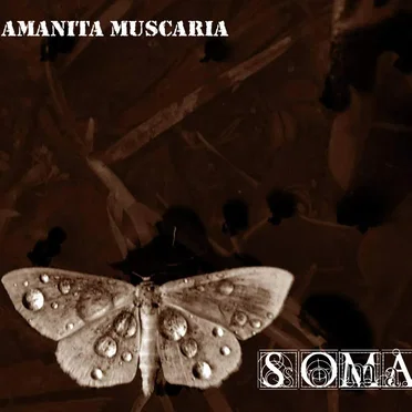Soma by Amanita Muscaria - album cover