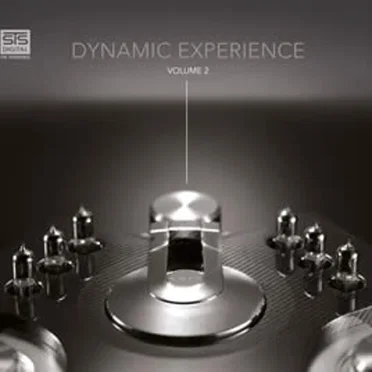 Dynamic Experience, Volume 2 by Various Artists - album cover