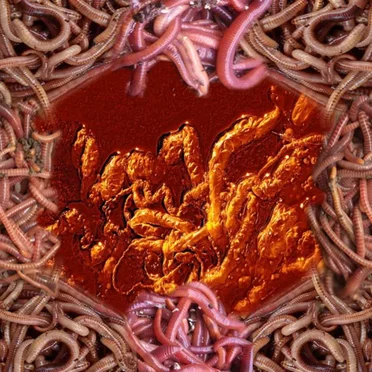 Chier / Asleep In The Lake