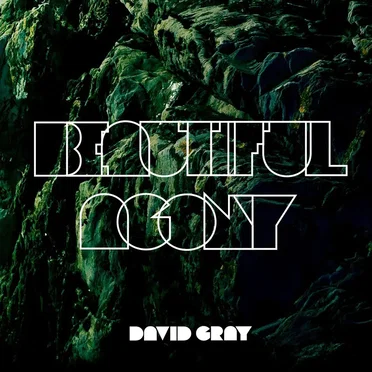 Beautiful Agony