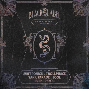 Black Friday, Vol. 21 by Various Artists - album cover