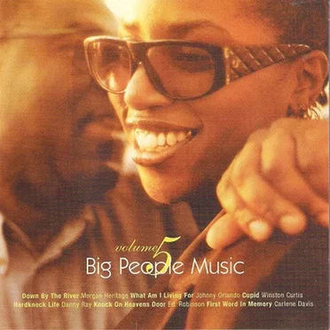 Big People Music, Volume 5 by Various Artists - album cover