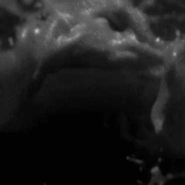 A Tidal Wave of Tenderness