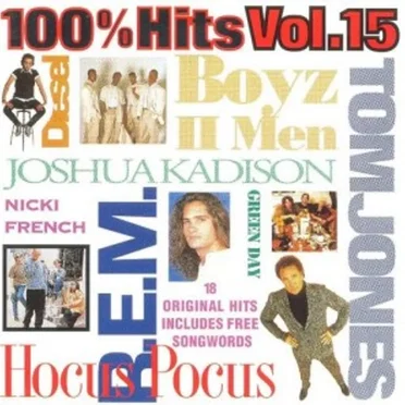 100% Hits, Volume 15 by Various Artists - album cover