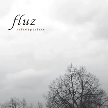 retrospective by fluz - album cover