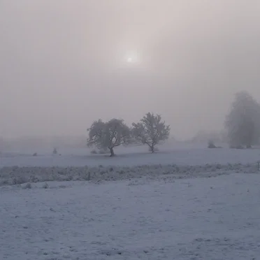 Arc of a Snowfall