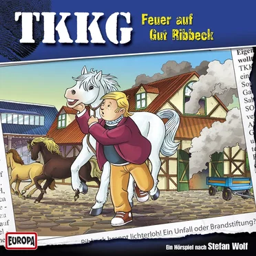 TKKG 192: Feuer auf Gut Ribbeck! by Stefan Wolf - album cover