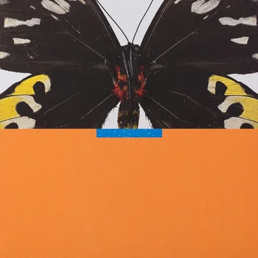 Whities 014 by Jules Venturini - album cover
