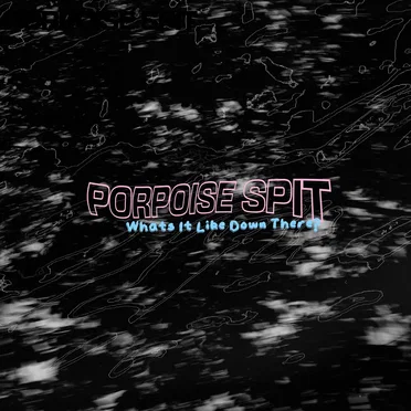 What's It Like Down There? by Porpoise Spit - album cover