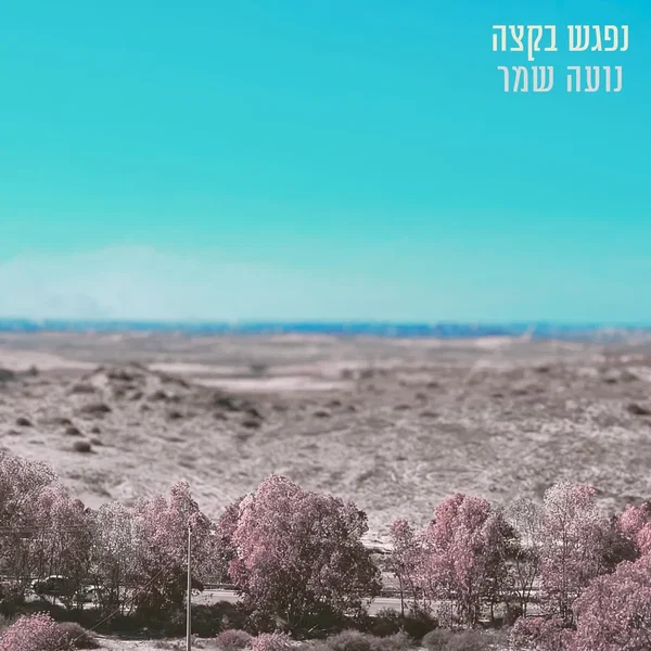 נפגש בקצה