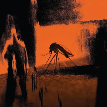 Faster Than the Radio / Mosquito