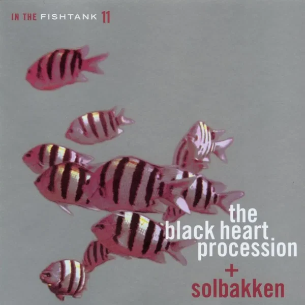 In the Fishtank, Volume 11