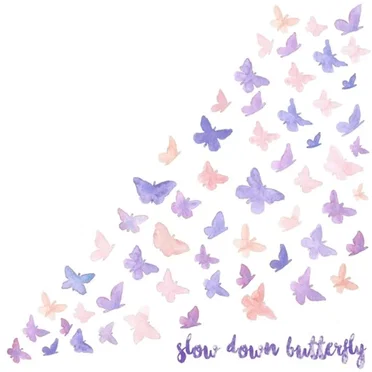 Slow Down, Butterfly