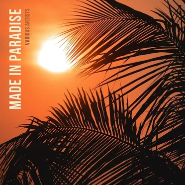 Made In Paradise by Various Artists - album cover
