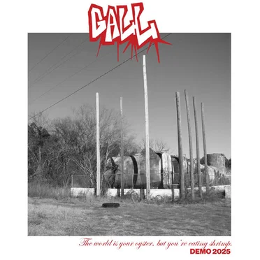 The World Is Your Oyster, But You're Eating Shrimp (DEMO) by GALL. - album cover