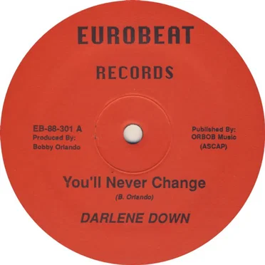 You'll Never Change by Darlene Down - album cover