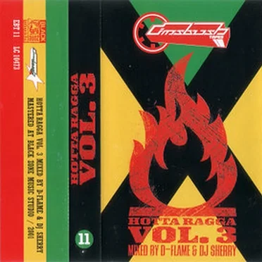 Eimsbush Tapes Vol. 11 - Hotta Ragga Vol. 3 by Various Artists - album cover