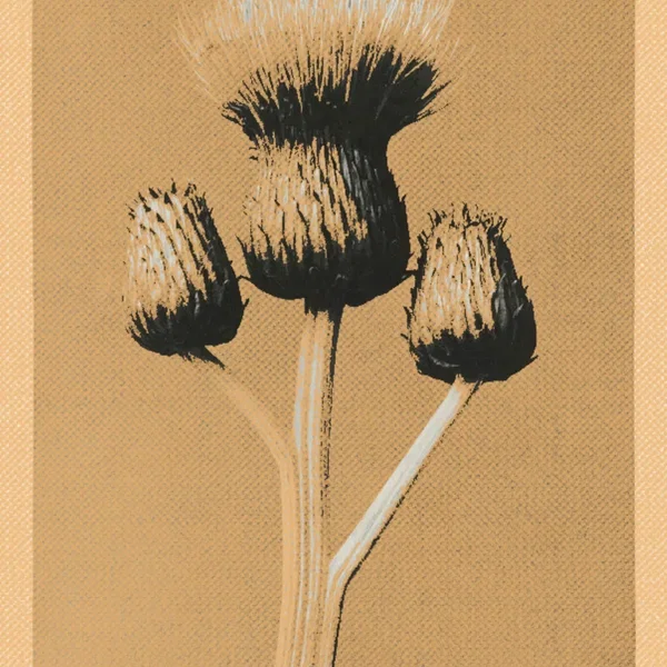 أغسطس(UghusTus)