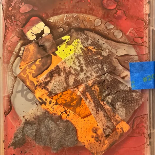 Session November 2024