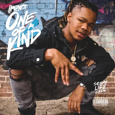 One of a Kind by Impxct - album cover