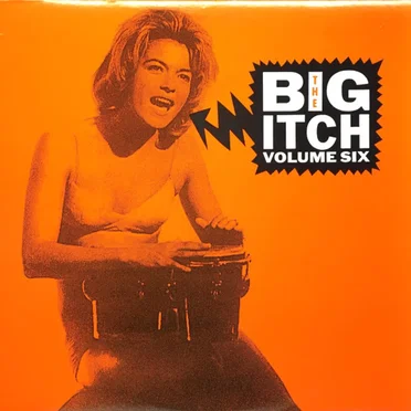 The Big Itch, Volume Six by Various Artists - album cover