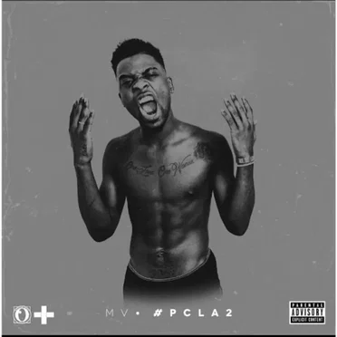#PCLA2