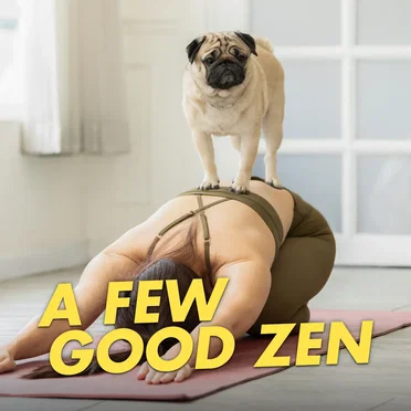 A Few Good Zen by Reality Check - album cover