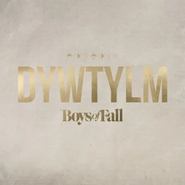 DYWTYLM by Boys of Fall - album cover