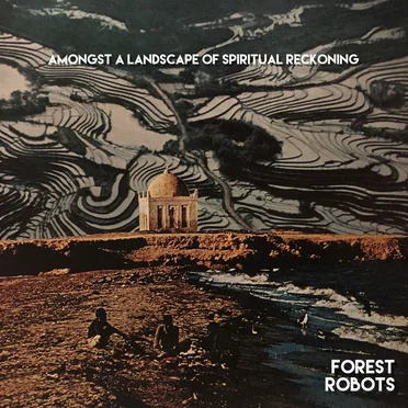 Amongst a Landscape of Spiritual Reckoning by Forest Robots - album cover