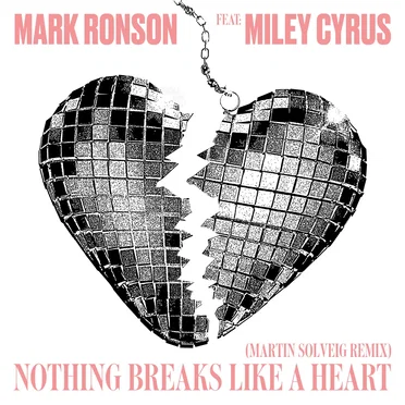 Nothing Breaks Like a Heart (Martin Solveig remix)