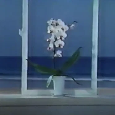 水に流す