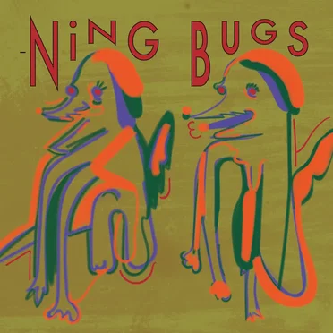 -Ning Bugs by Larry Wish - album cover