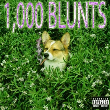 1000 BLUNTS by dom$olo - album cover