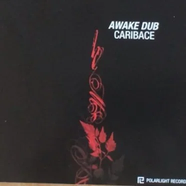 Awake Dub by Карибасы - album cover