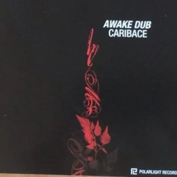 Awake Dub