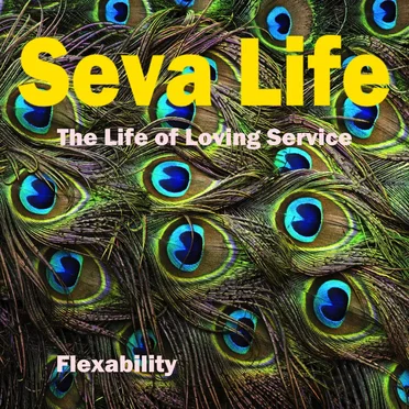 Seva Life